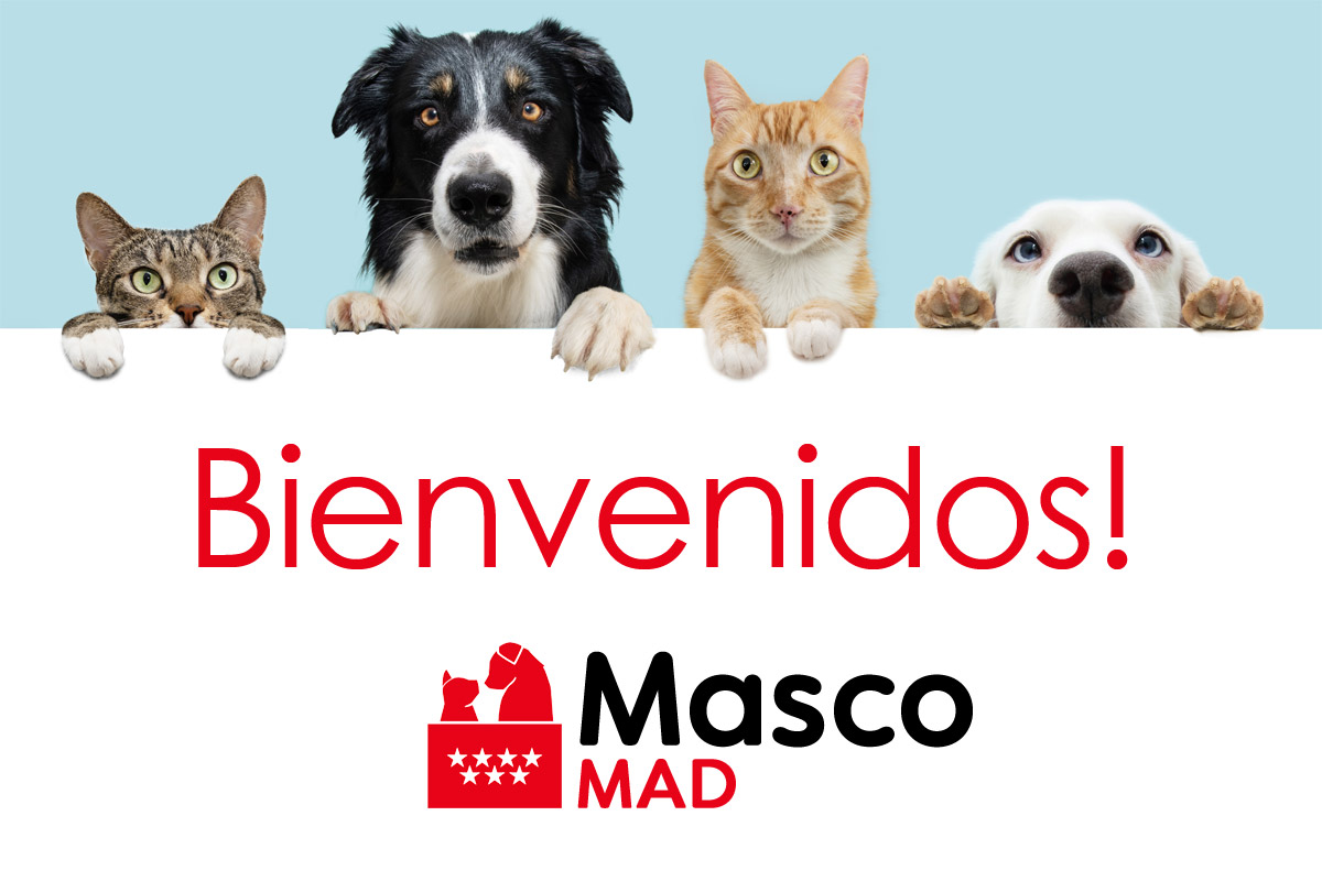 CONSEJOS GENERALES PARA MASCOTAS: BIEN CUIDADAS Y CON GARANTÍAS